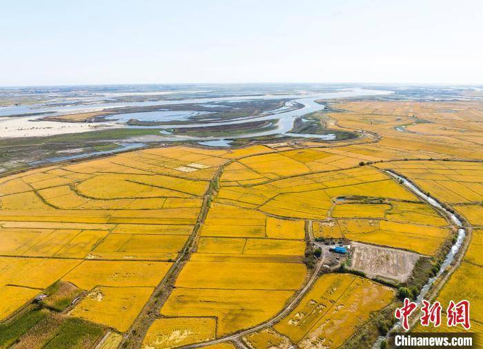 东北平原金秋一景.(资料图) 潘晟昱 摄