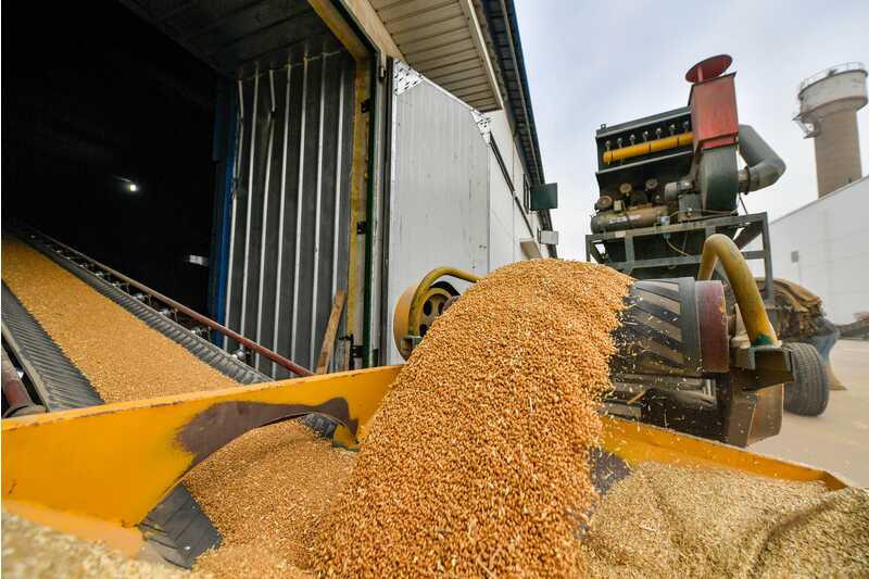 我国粮食总产量已连续7年在1.3万亿斤以上_手机新浪网