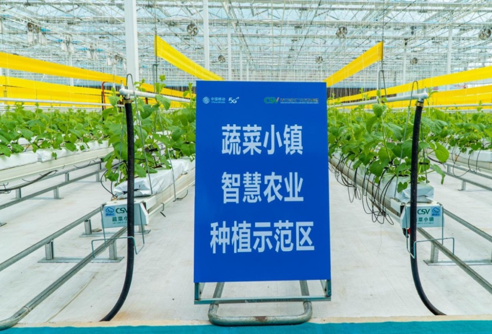 　　数字农业乘“云”入乡