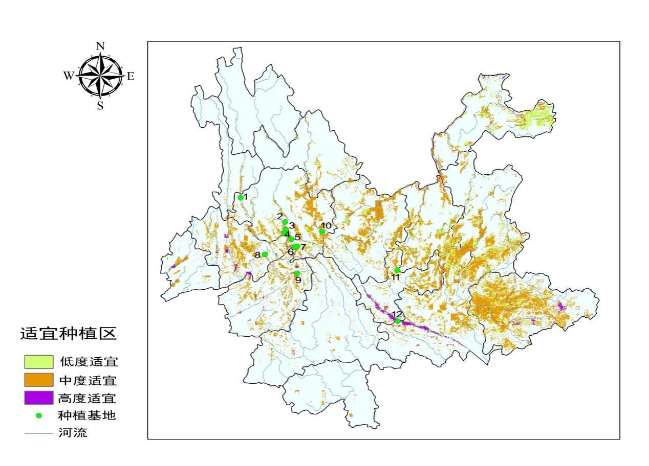 　　图：云南香水柠檬适宜种植区与3万亩种植基地分布图
