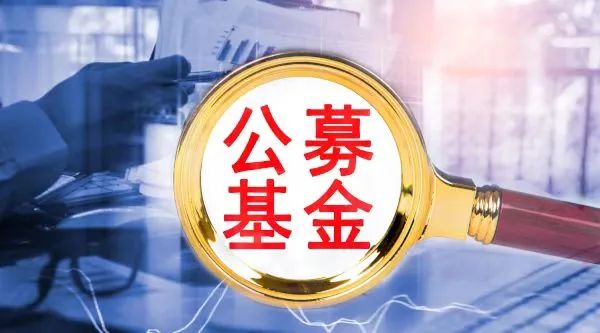 公募最新调仓曝光！医药股即将归来？公募喊话：重点把握这两大"洼地"