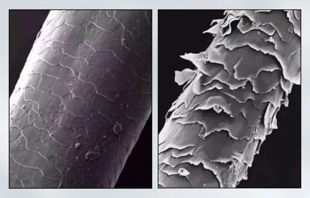 Photoshop怎样让毛糙头发变柔顺 ps怎么把凌乱头发修整齐