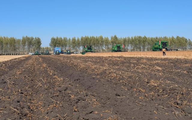 大豆收割完后,秸秆粉碎还田,土地深松以待来年.受访者供图