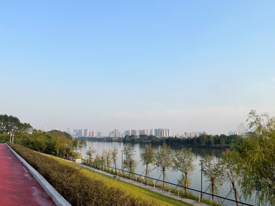 凤翔湾碧道建设中,在堤岸滨河侧开辟了滨水步道.