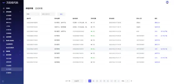 项目上线界面示意