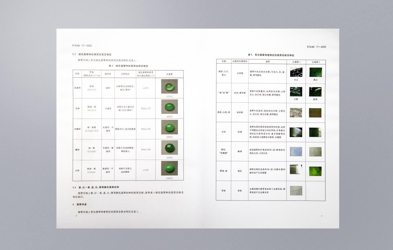 　　图：绿色翡翠种的划分与常见翡翠净度特征的名称及说明