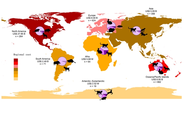 图2. 哺乳动物入侵引起的全球成本及各洲的重要危害物种。红色和黄色分别代表高成本和低成本。
