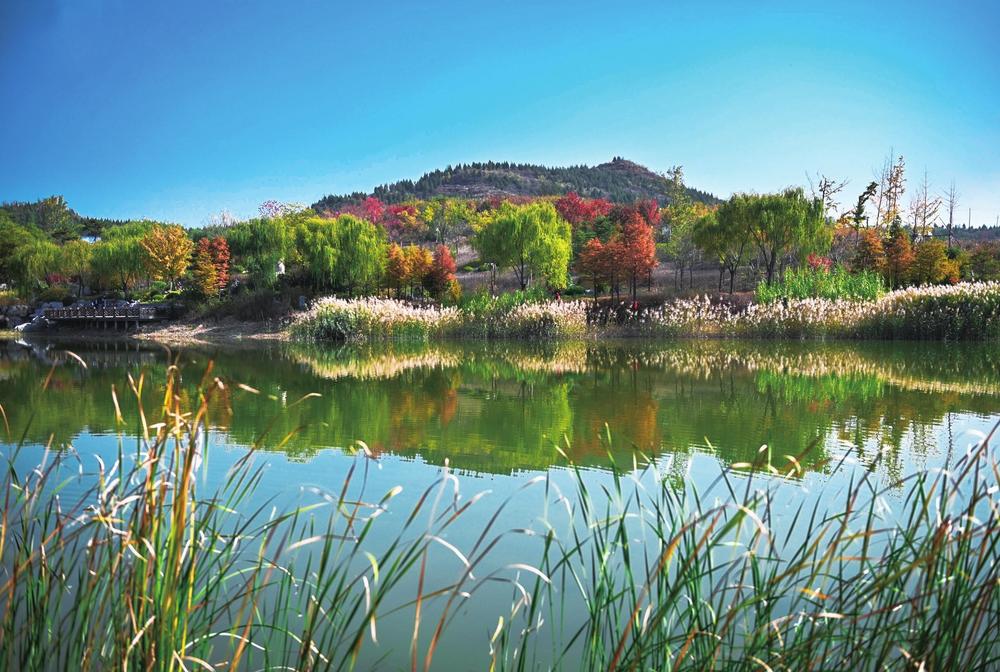 深秋的丛台区紫山景区色彩斑斓,风景怡人.