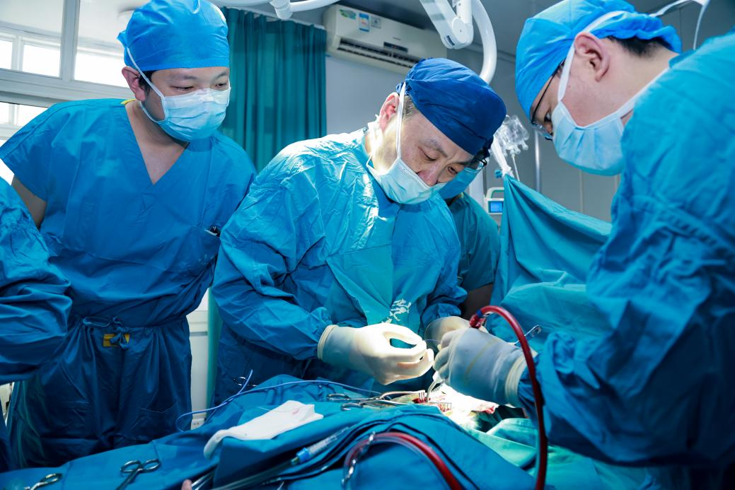 西京医院心血管外科团队将基因编辑猪心脏移植到受体猴体内 王鑫摄