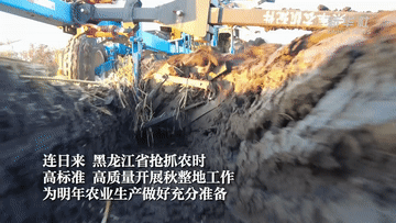黑龙江 高质量秋整地筑牢丰收之基 雪花新闻