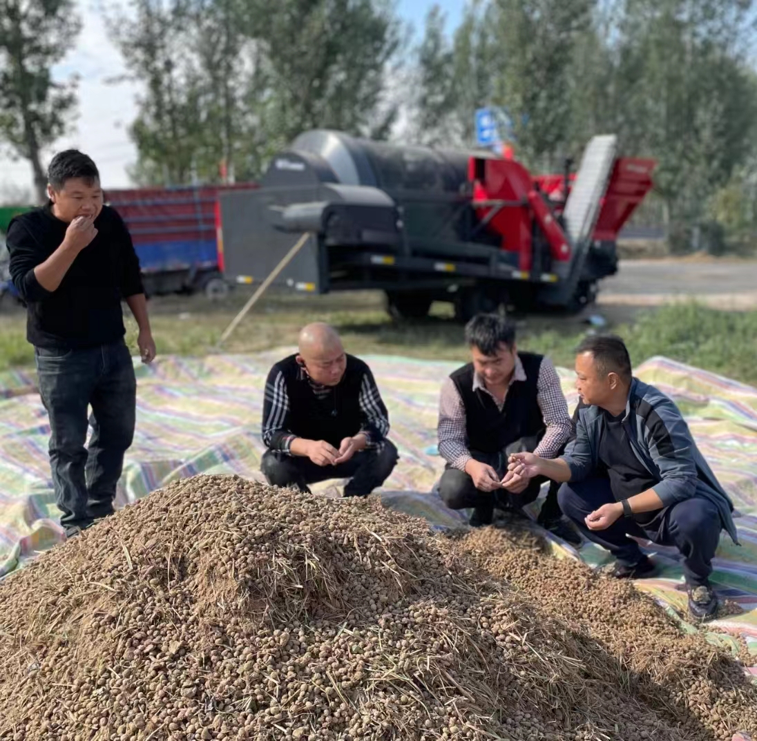 刘永正摄民权县人和镇油莎豆种植基地在进行油莎豆机械化收获.