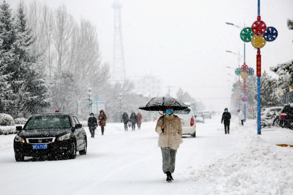 呼中区居民在雪天出行.(新华社通联照片)