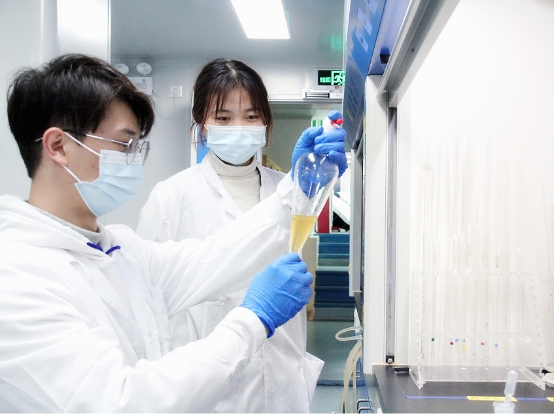 　　白云山和黄中药研究“肺炎一号”方