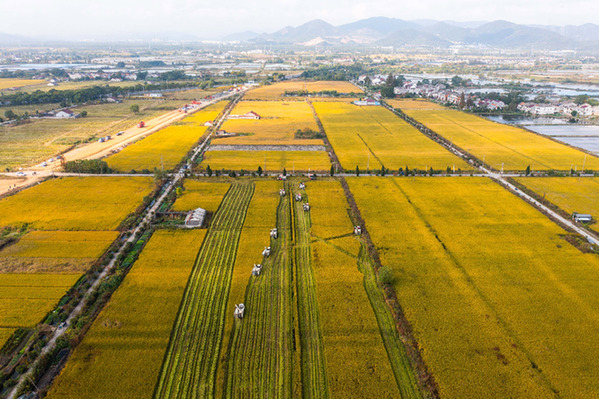 湖州市：数字化系统助力秋粮丰收