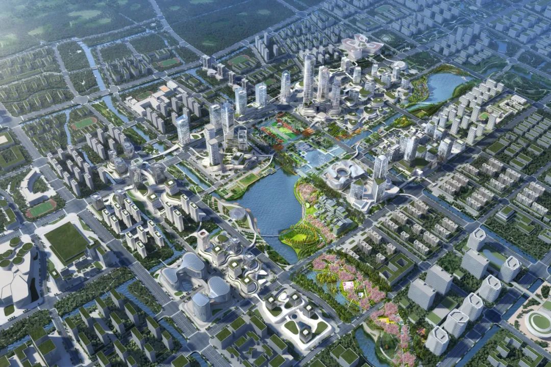 虹桥前湾鸟瞰图