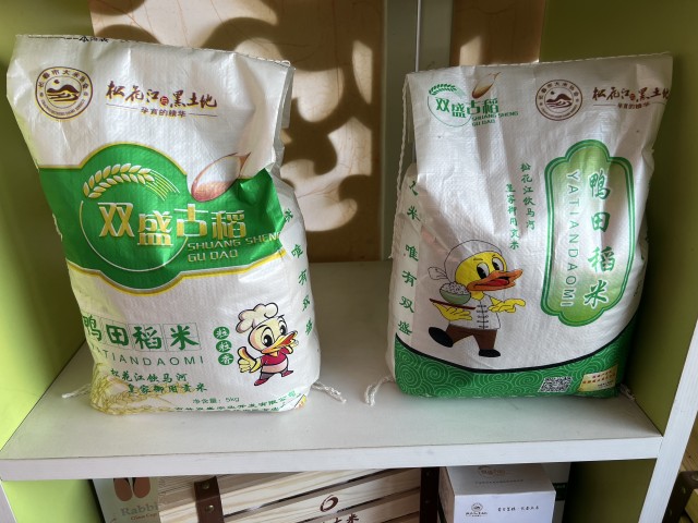 招商引资:城市发展的加速器