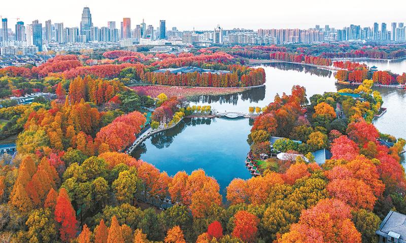 武汉发布东湖宣传片|武汉市|湖北省|生态|水质|听涛景区_手机新浪网