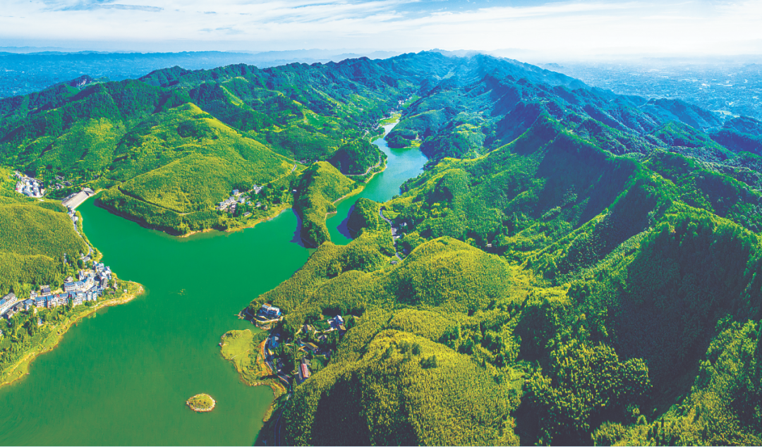 重庆市梁平区百里竹海.(黄海 摄)