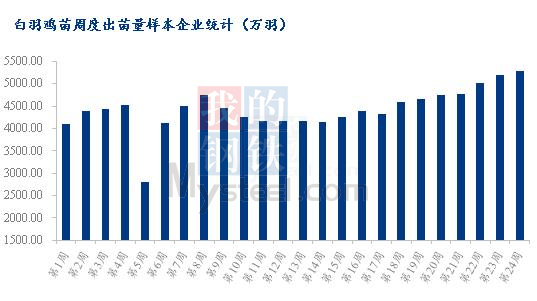 数据来源:钢联数据