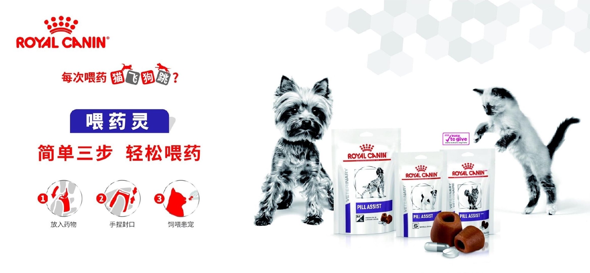 第十七届北京宠物医师大会正式开幕,皇家宠物食品睿享创新成果驱动临床营养升级|杭州市|北京市|浙江省|兽医师|竞赛_手机新浪网