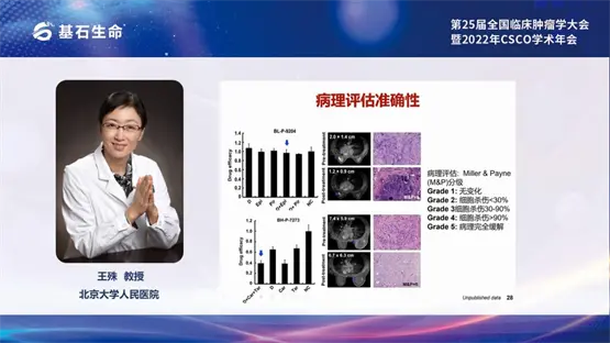 王殊 教授 北京大学人民医院