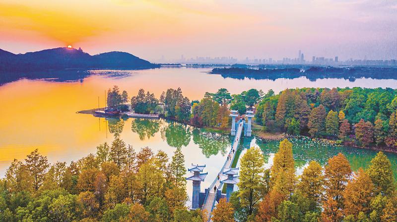 COP14与会代表参观武汉沉湖东湖青山江滩湿地_手机新浪网