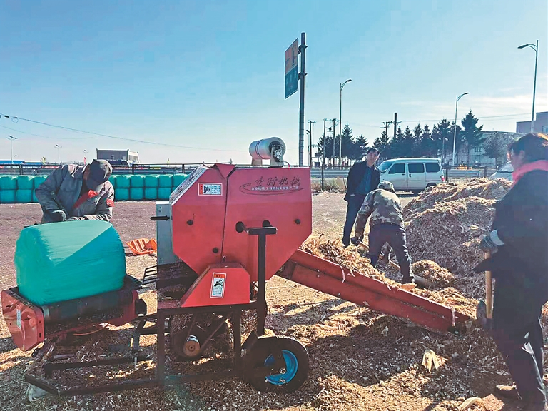 秸秆被粉碎打包.