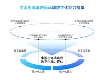 　　品牌数字化能力评估模型
