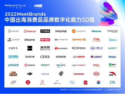 　　2022 MeetBrands中国出海消费品品牌数字化能力50强