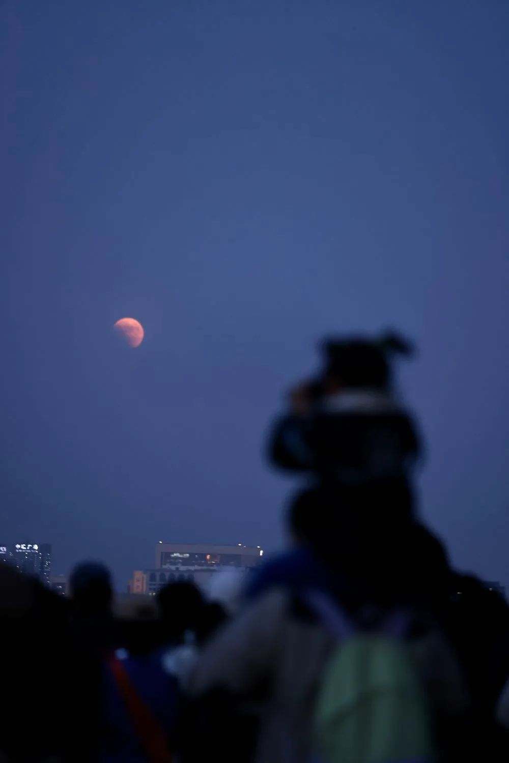 11月8日，人们在北京景山公园观看月全食。新华社记者 郝昭 摄