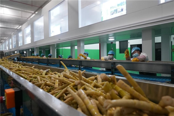 桐梓县方竹笋交易中心竹笋加工生产线