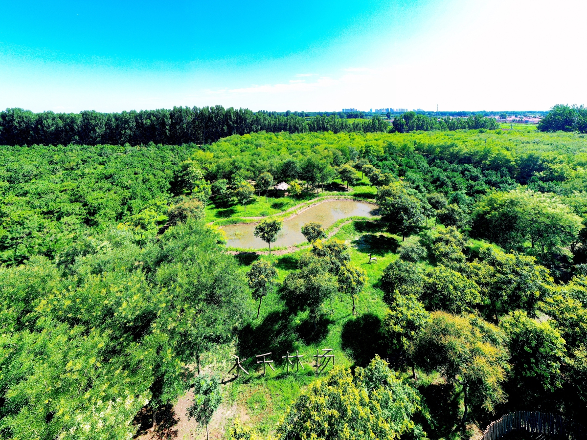 有趣的林场|儿童乐园_新浪财经_新浪网