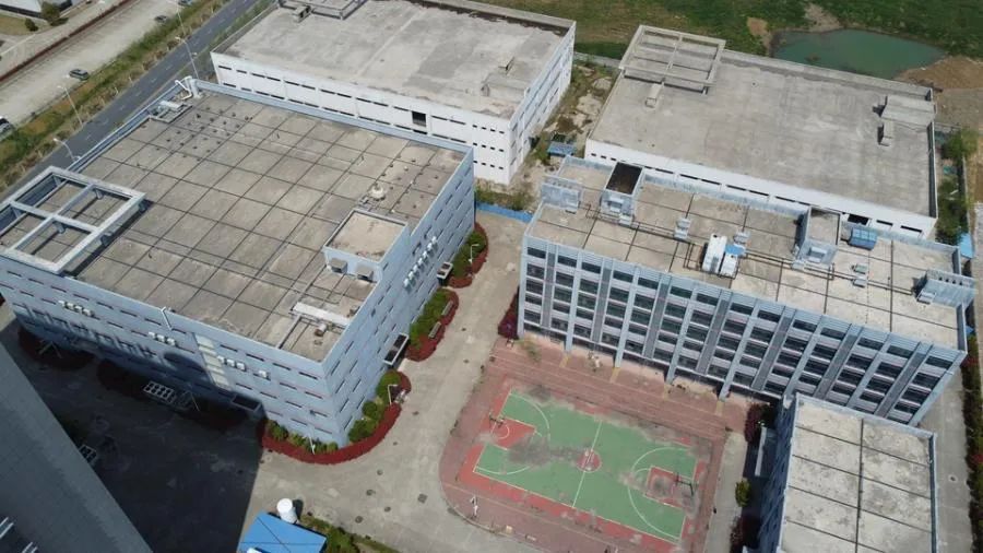 图片来源:阿里拍卖