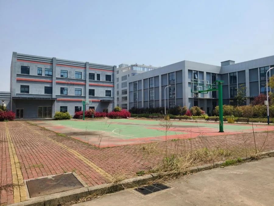 图片来源:阿里拍卖