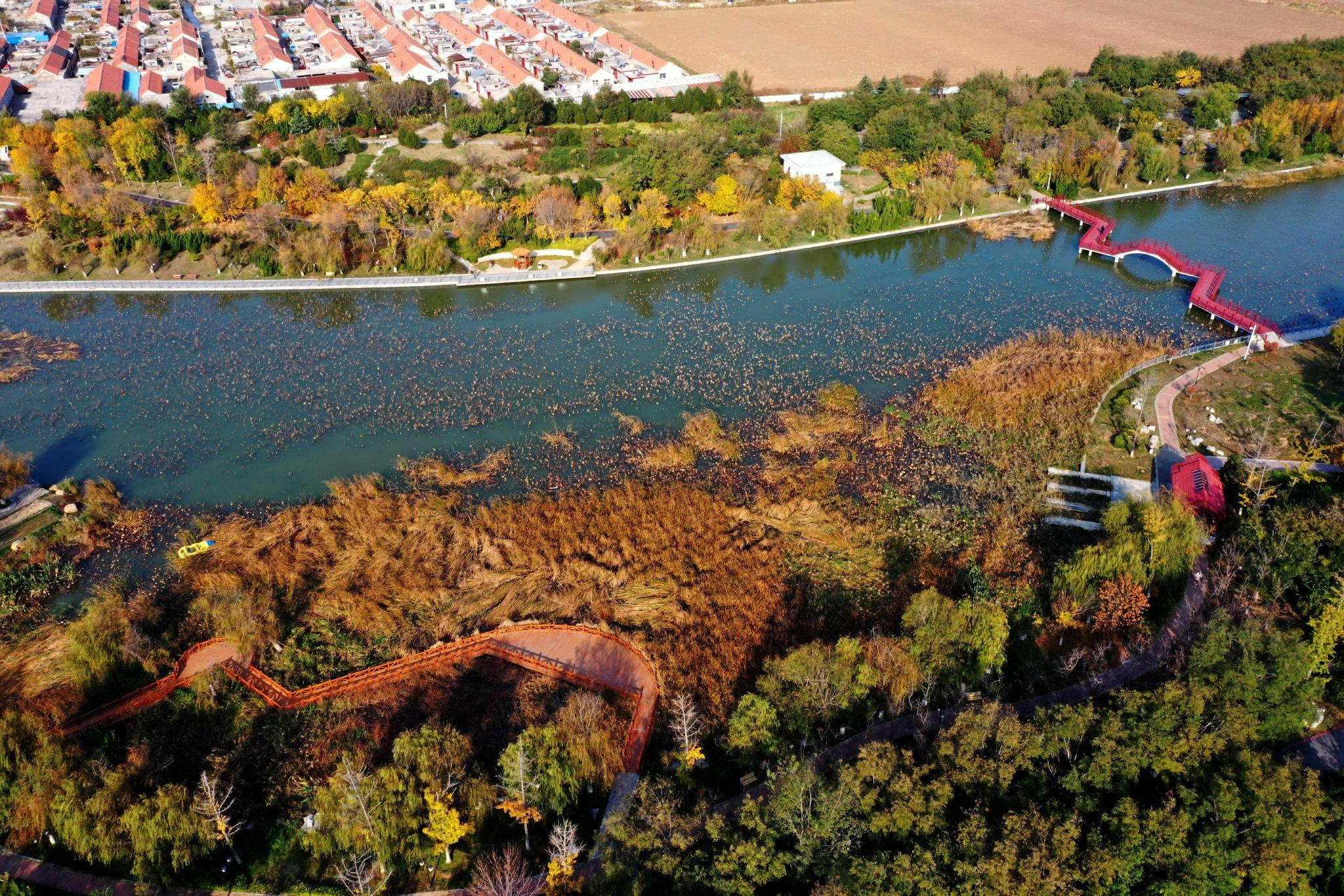 2022年10月29日,山东省烟台市蓬莱区平山河湿地公园层林尽染的秋日