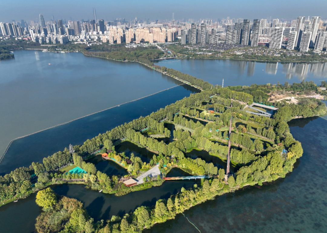 武汉华侨城生态湿地公园.新华社记者 程敏 摄