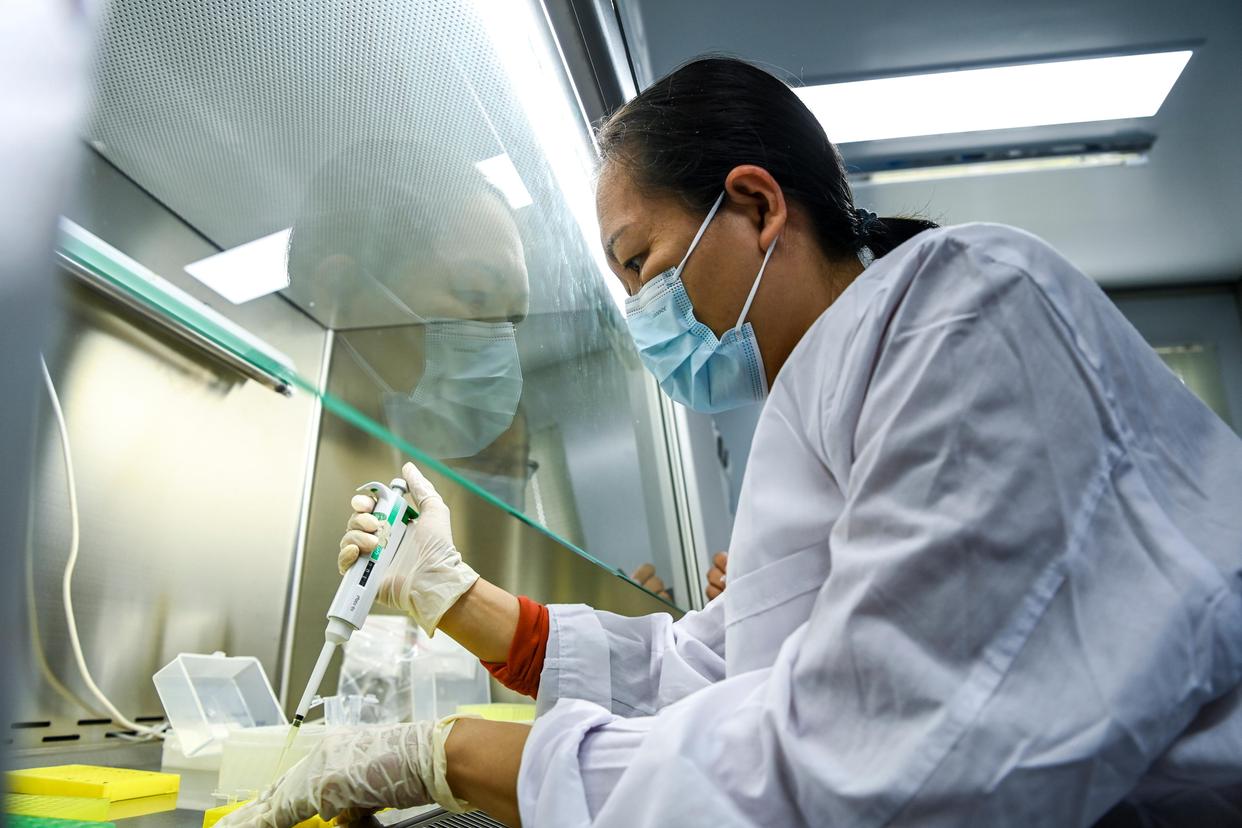 在兴业县农业农村局实验室,科技特派员对采集的农作物样本进行化验