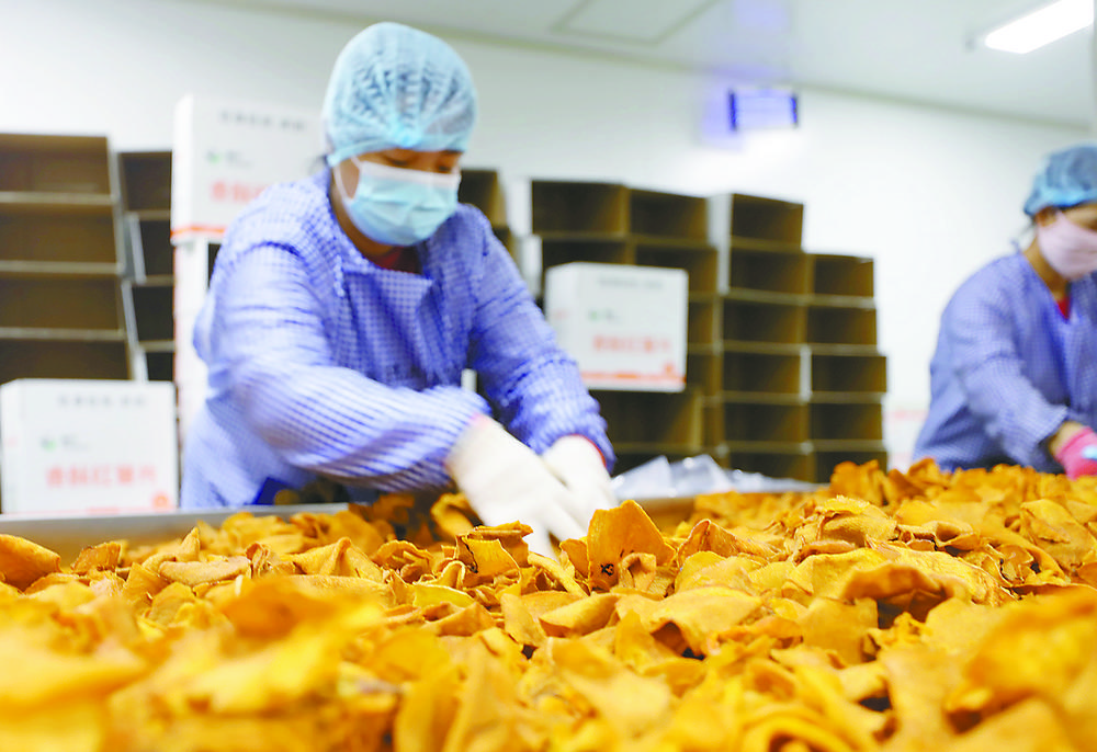红薯深加工 培育"甜蜜"产业|食品_新浪财经_新浪网