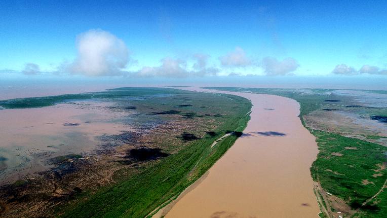 俯瞰黄河入海口.新华网发(杨廷奎 摄)