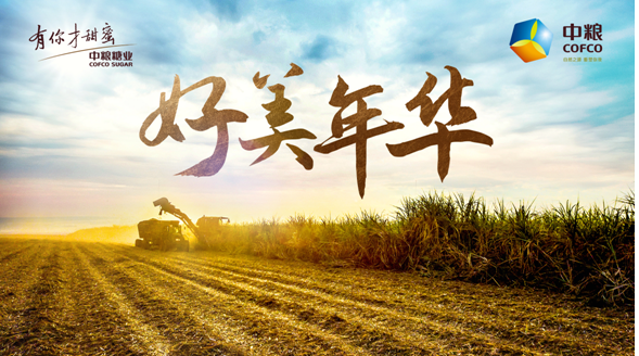中粮糖业启动“好美年华”品牌工程迈入糖业高质量发展时代_手机新浪网