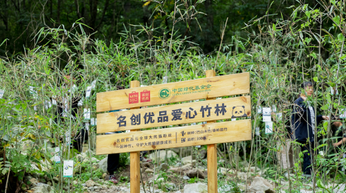 　　联合中国绿化基金会保护中国大熊猫栖息地