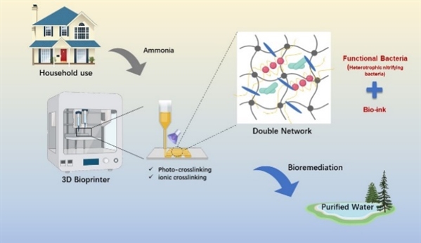 图：光固化3D打印微生物活性结构功能体及其在污水处理中的应用