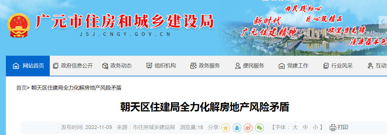 广元政务网站建设
