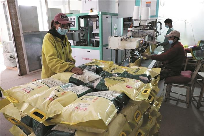 11月10日,阿拉尔市二团金稻丰米业有限公司员工在生产线上包装大米.