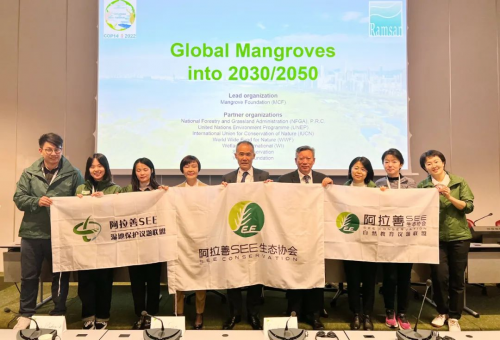 　　COP14日内瓦现场参会的阿拉善SEE、MCF嘉宾