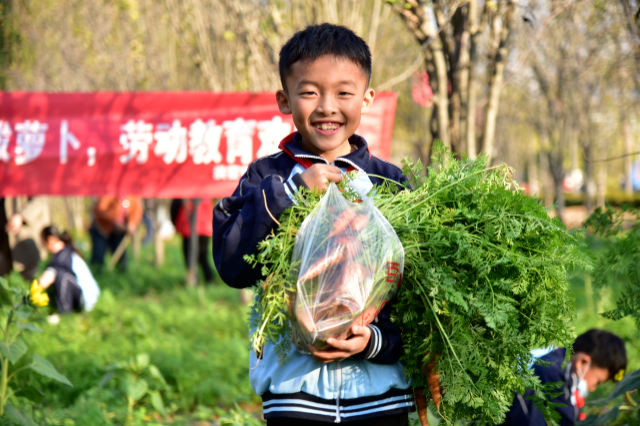 小学生展示收获的胡萝卜.通讯员 赵玉国 摄