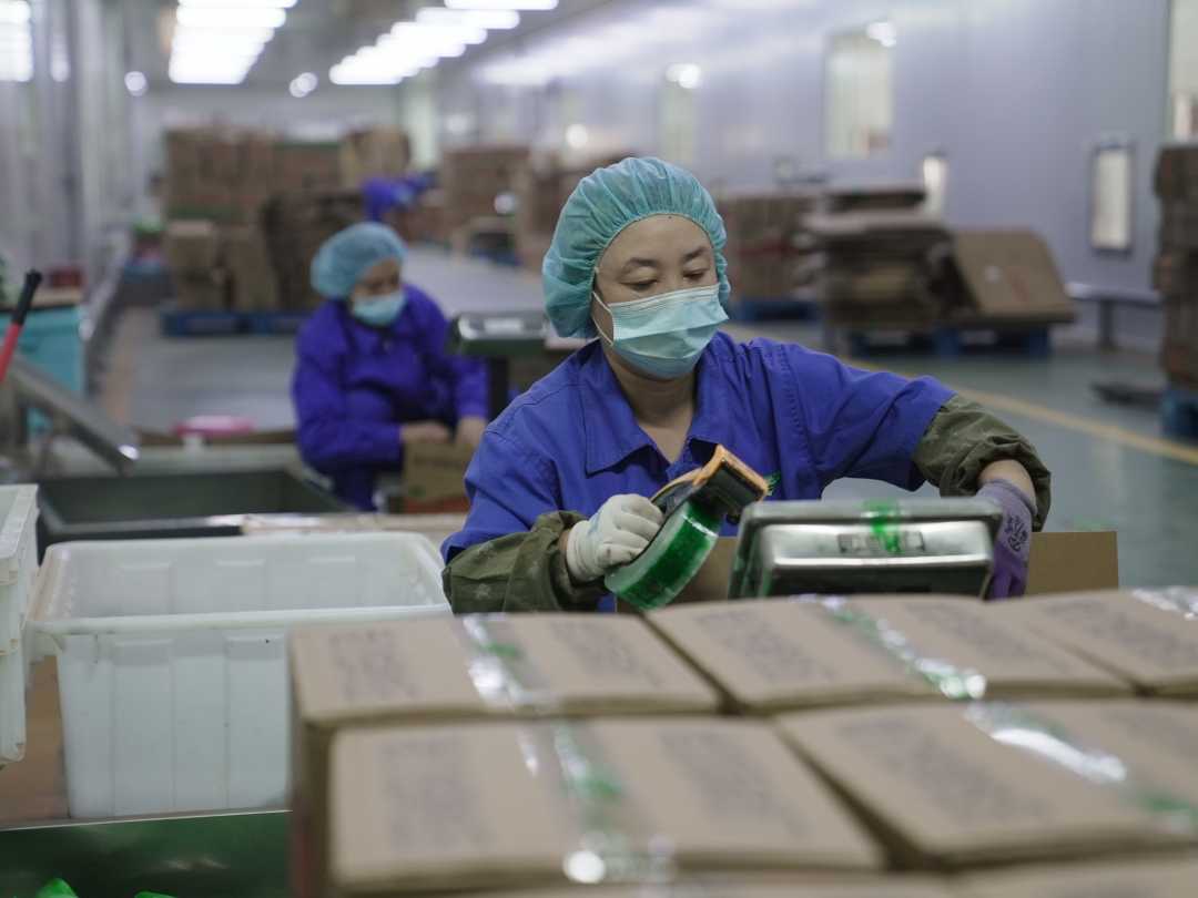 工人们加班加点打包货物.张军摄