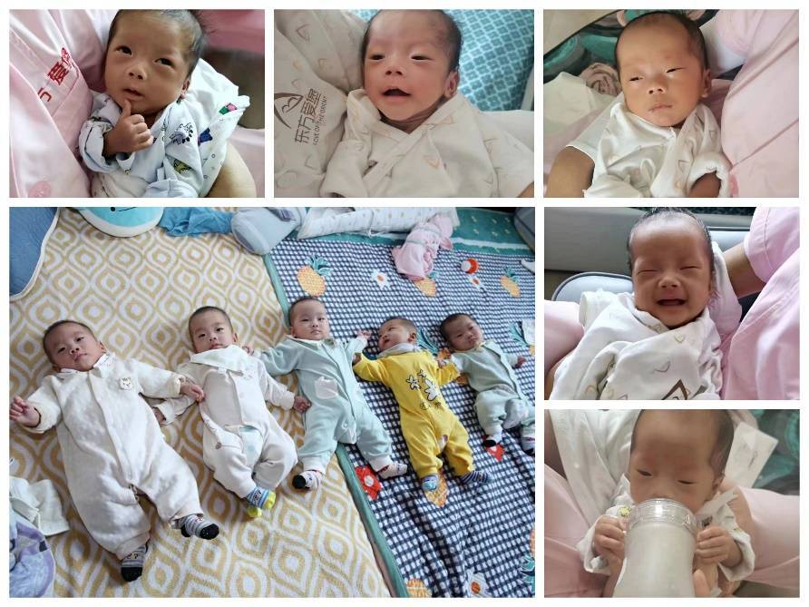 　　(山东五胞胎宝宝成长变化，目前实际月龄8个月，矫正月龄6个月)