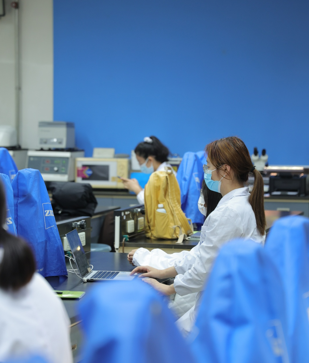 图片均来自北京大学