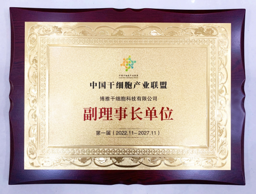　　△中国干细胞产业联盟第一届副理事长单位证书